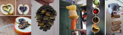 Jouets perroquets DIY homemade fait-maison