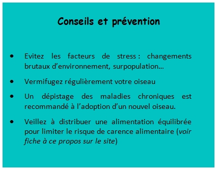 Aspergillose conseil