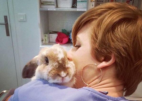 Après la stérilisation