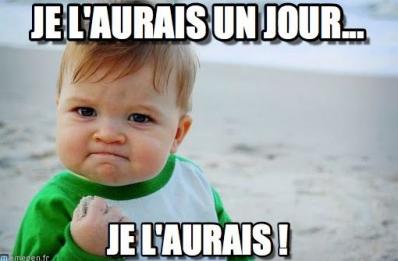 Je l aurai
