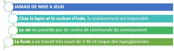 Mise a jeun