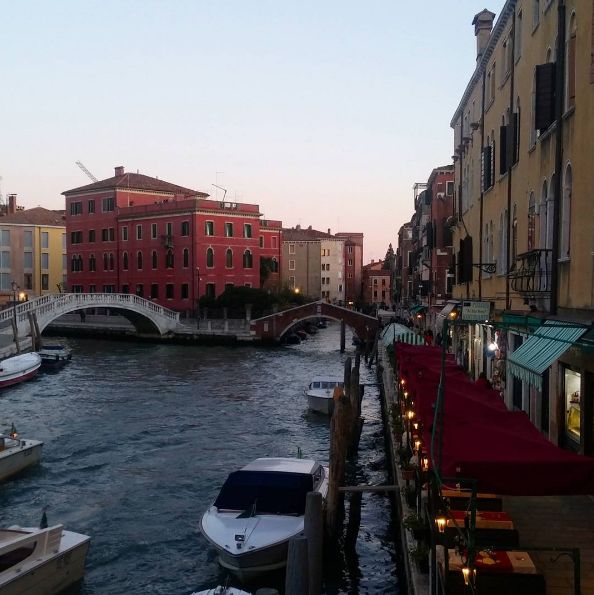 ICARE congrès vétérinaire