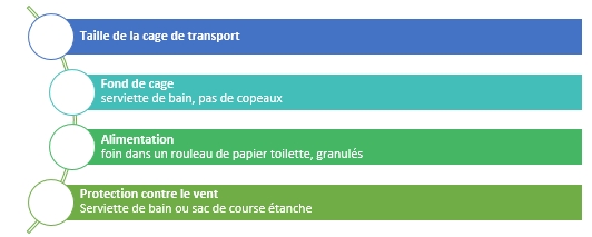 Transport